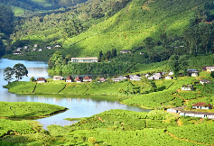 Munnar, Kerala