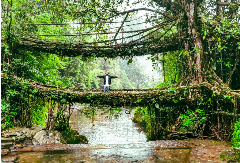 Gangtok