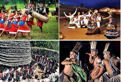Tribal Tours